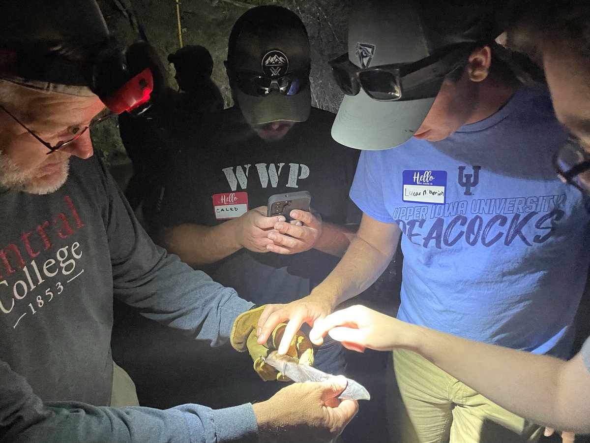 UpperIowa's tweet photo. The Mammalogy class attended the Iowa Wildlife Society fall workshop in Pella last week. They were even allowed to participate in a federal and state permitted bat mist-netting activity! https://t.co/Z4bZwnFWJK