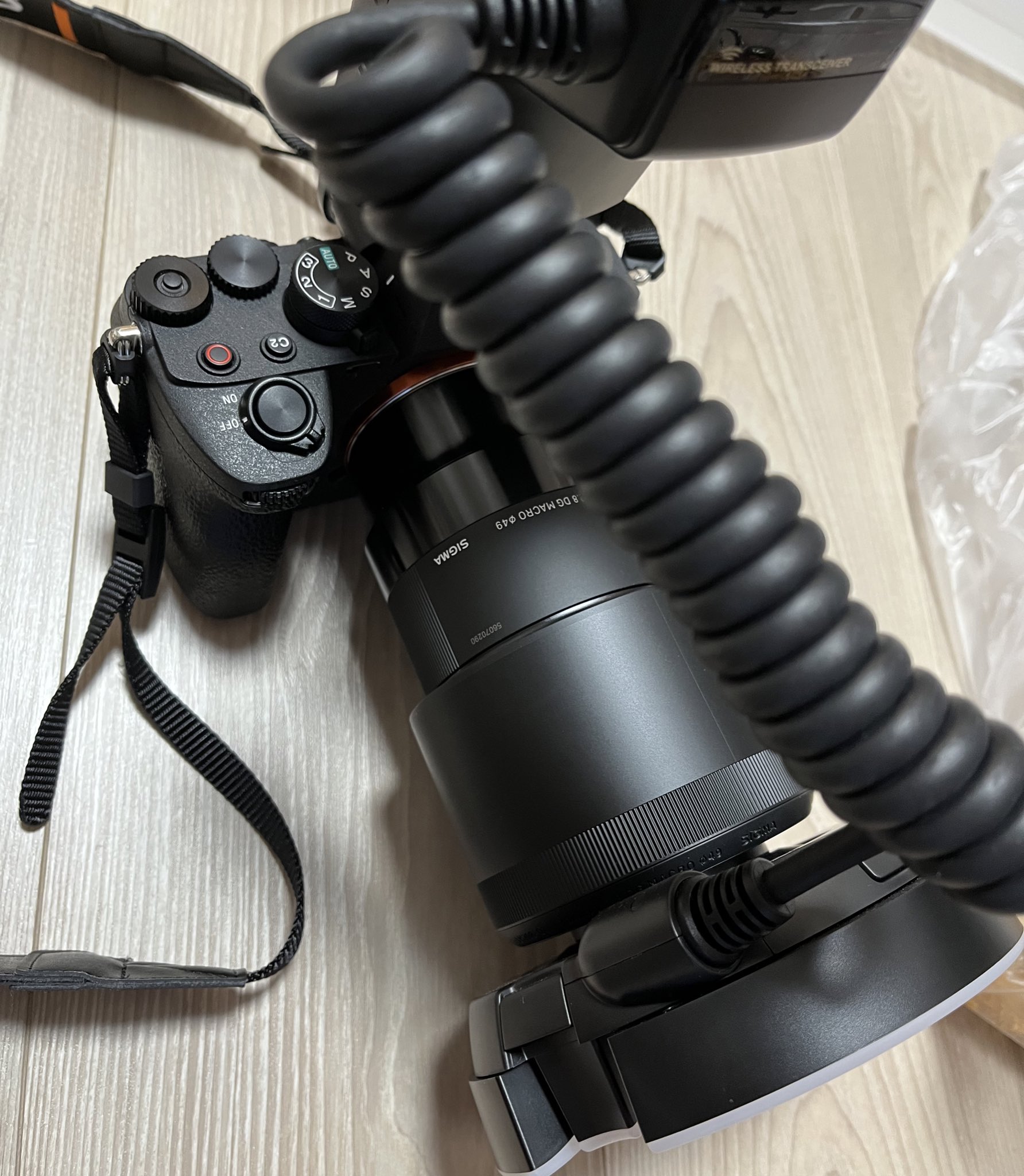 ねねち (@_nenechidayo) / Twitter