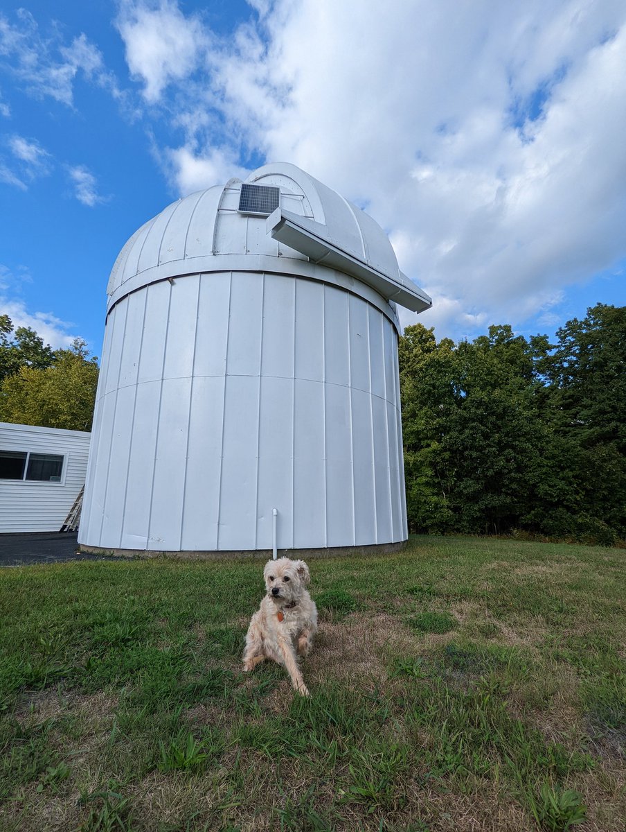 MIT_WallaceObs's tweet image. Another milestone at Wallace this week - our 51yo dome is now solar powered!  It also knows to close the dome if there's bad weather. Finn approves! #greenobservatory #solarpowered #thisoldobservatory