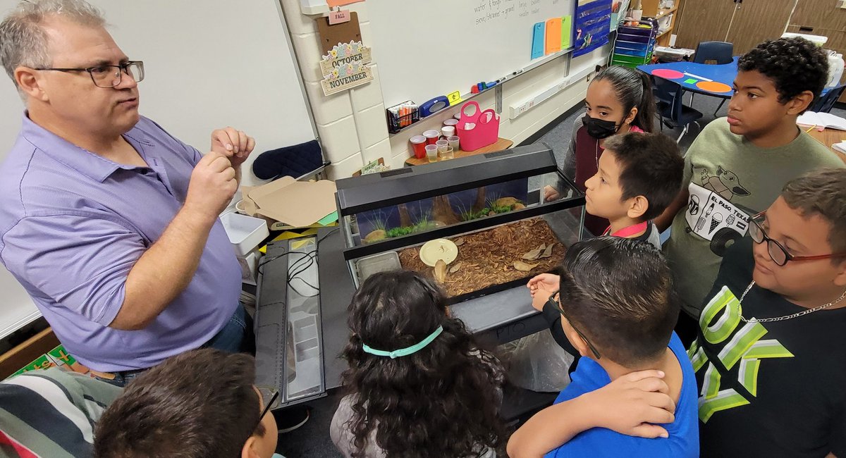 KaiserKISD's tweet photo. Thank you @letlau2004 for your 🐢 donation! Our students are loving our newest 🤠 addition- box turtle! @trisqit #sciencefun #learningawaits https://t.co/LdMMqdNTxy