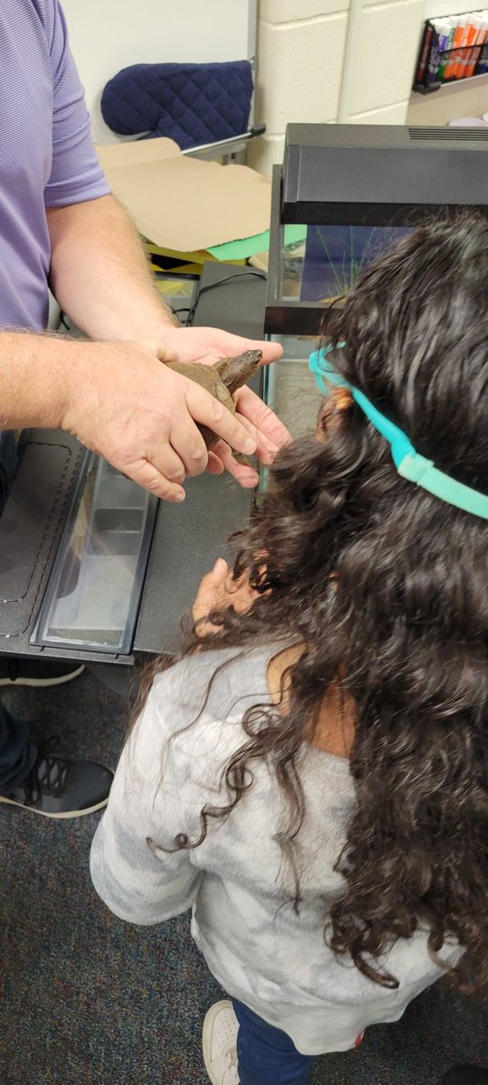 KaiserKISD's tweet photo. Thank you @letlau2004 for your 🐢 donation! Our students are loving our newest 🤠 addition- box turtle! @trisqit #sciencefun #learningawaits https://t.co/LdMMqdNTxy