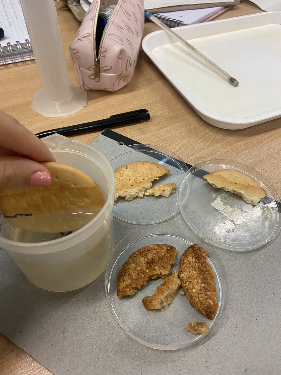 MissJonesEH's tweet photo. The biscuit experiment! Today we put classic biscuits to the test and surprisingly, the rich tea was our winner! https://t.co/l4IQuSr7yP