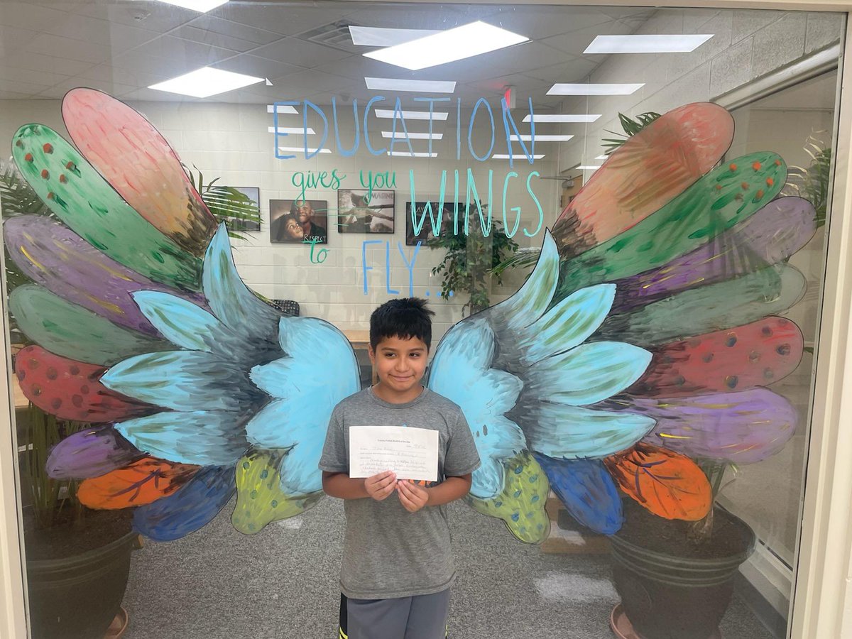 Micro Elementary tweet media