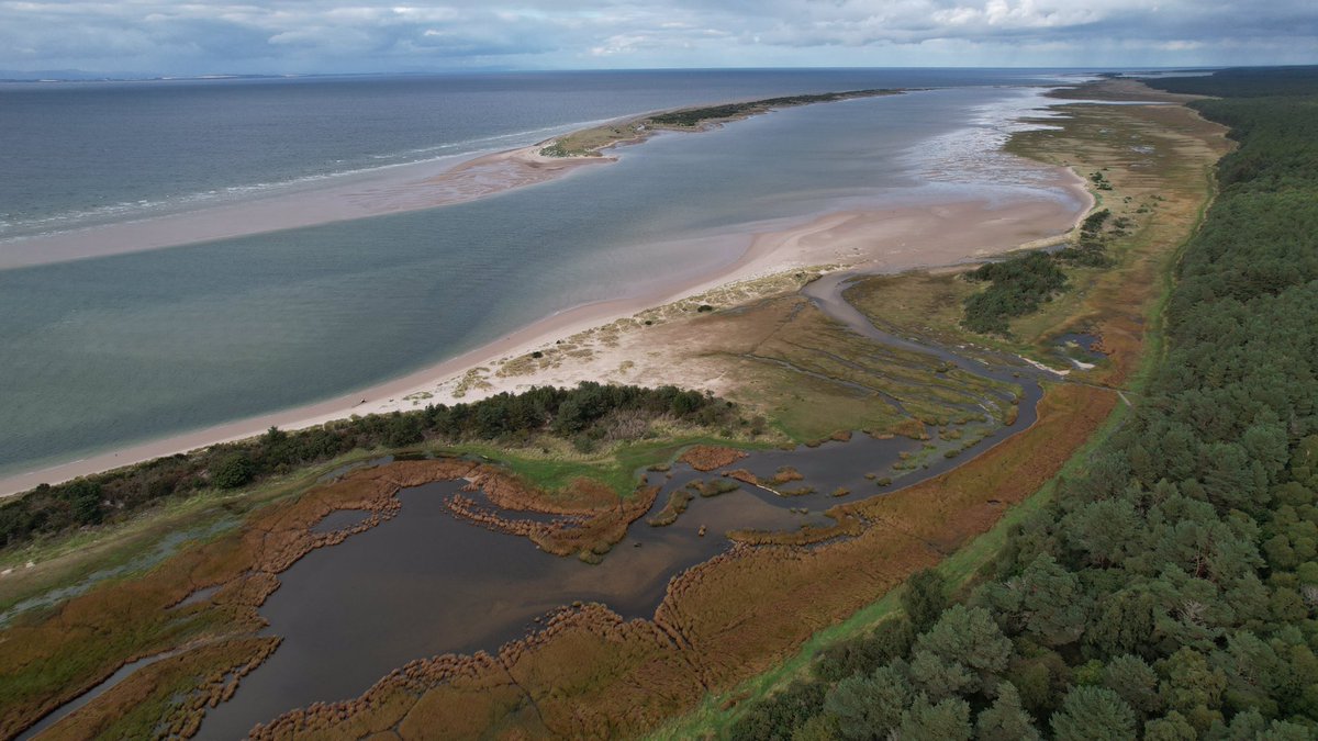 reizkultur's tweet photo. Amazing day cycling from Inverness Hostel to Findhorn Hostel. Out on hire bike bikes from @CycleLochNess - who did a stellar job on a superbly varied route with forests, historical sites &amp; stunning coastline. Another route for a new book project. https://t.co/UGH61hxXQ2