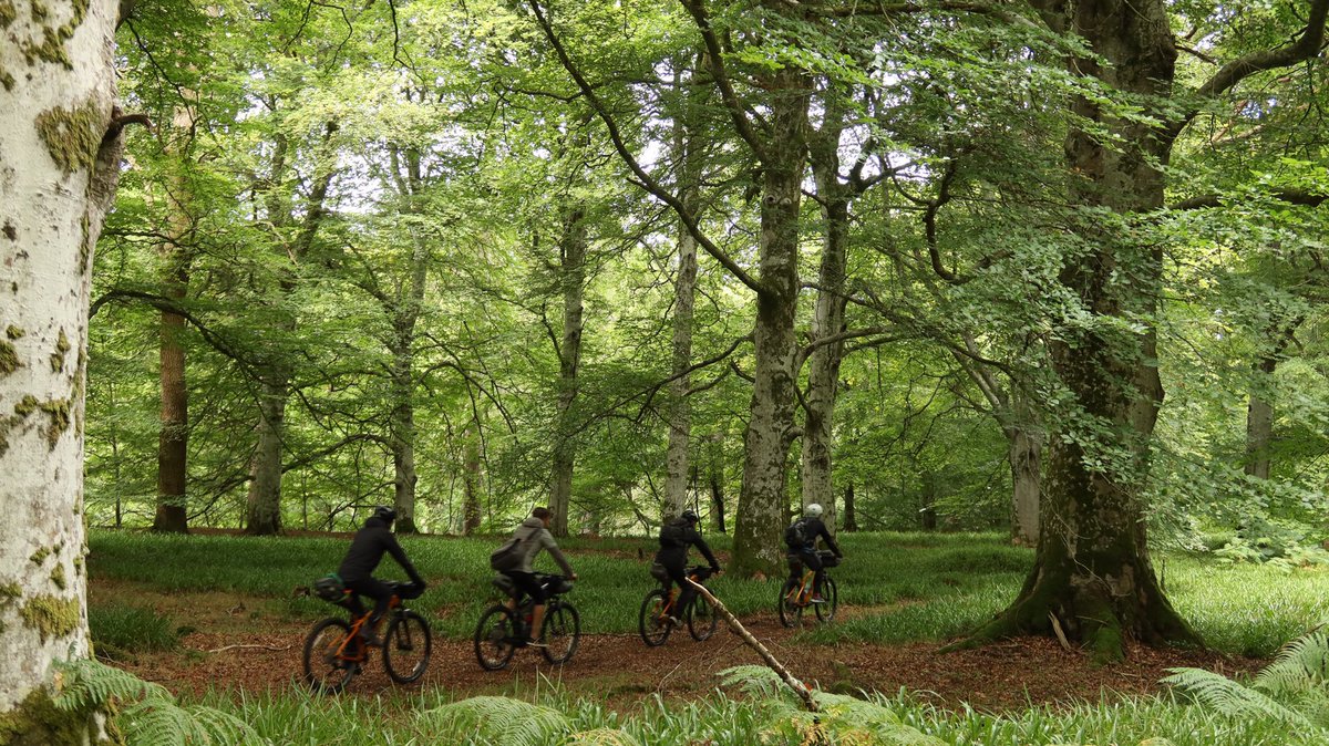 reizkultur's tweet photo. Amazing day cycling from Inverness Hostel to Findhorn Hostel. Out on hire bike bikes from @CycleLochNess - who did a stellar job on a superbly varied route with forests, historical sites &amp; stunning coastline. Another route for a new book project. https://t.co/UGH61hxXQ2