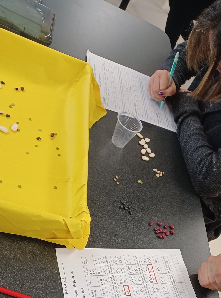 Mrs. Ramirez tweet media