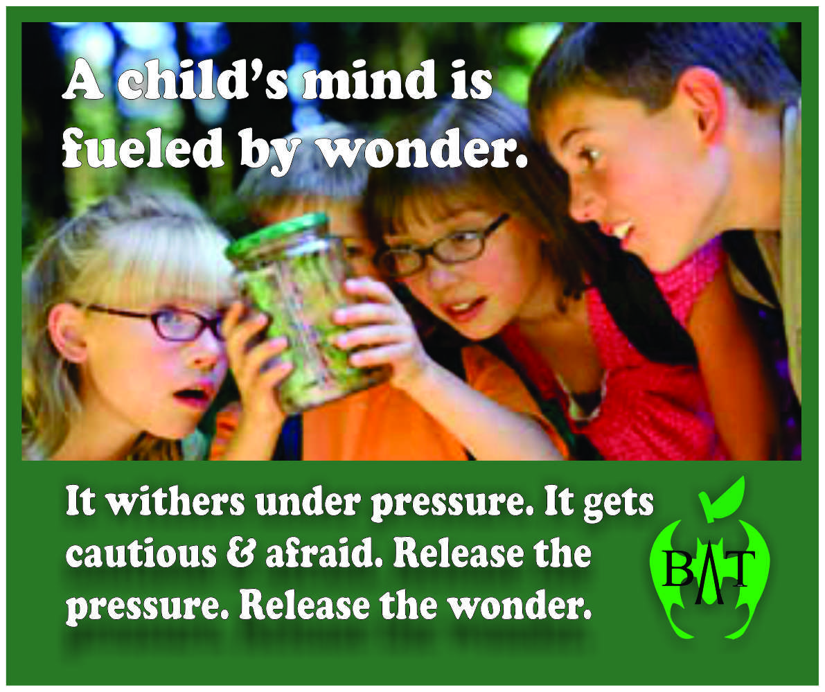 Stop pressuring them about Covid Learning Loss. They'll catch up. Make school more about learning &amp; less about endless testing. #TBATs .<a href="/FLBATsA/">@FLBATs</a> .<a href="/GeorgiaBATs2/">@GeorgiaBATs</a> .<a href="/AlabamaBATs/">AlabamaBATs</a> .<a href="/NoCarolinaBATs/">NoCarolinaBATs</a> .<a href="/SoCarolinaBATs/">South Carolina BATs</a>