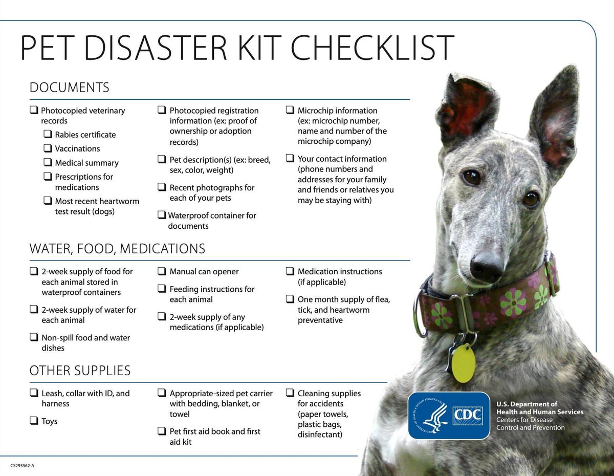 Lessons learned from ‘living’ though two major Hurricanes.
Be PREPARED!!! 
In the event ER evacuation is needed (like after Hurricane Maria) it is A WHOLE LOT EASIER to facilitate transport when your pet’s records are in order &amp; can be checked (snap a copy &amp; put on your phone!)