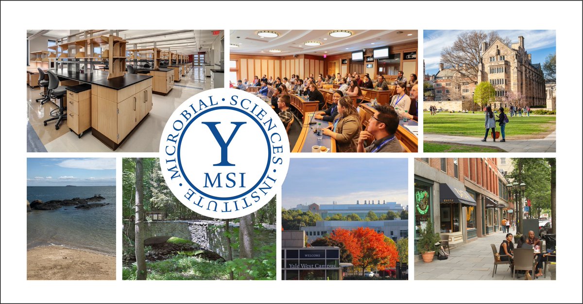 Excited to announce that Yale MSI is partnering with @yale_eeb to launch a new open rank faculty search in microbial ecology, microbial evolution, or the intersection of these fields. Info: apply.interfolio.com/113041. Please RT!