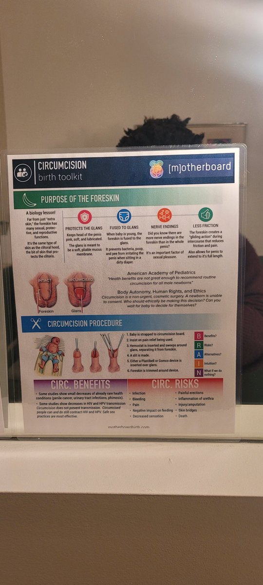 SassyE's tweet photo. Circumcision birth toolkit. https://t.co/6G8JE8ui1K