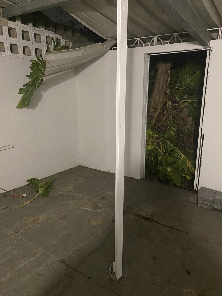 sharpecian's tweet photo. @lumaenergypr Es el colmo que uno llegue de trabajar y en la terraza donde están mis perros, “desganchando” haya caído un tronco y haya roto la terraza. Los llamo y me indican que tengo que ir a una oficina para arreglar la situación. https://t.co/bDnOsg3kAK