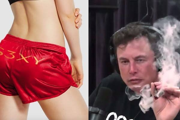 cb_doge's tweet photo. @elonmusk @ilyasut https://t.co/EhRToo2qKZ