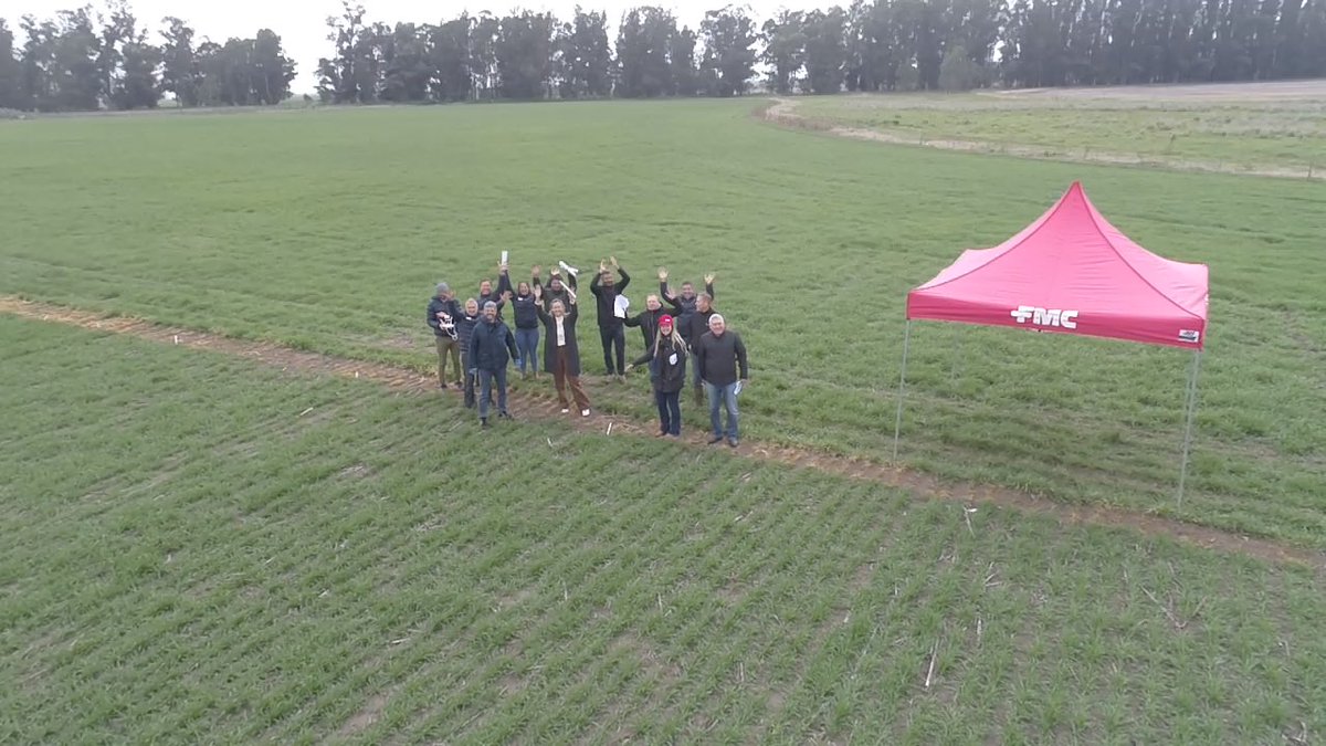 Damian Gopar tweet media