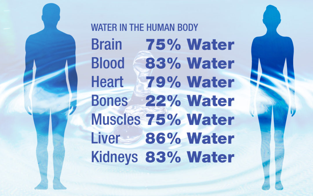 Hoban Athletes, please look at these images.  This is why <a href="/Coach_Maddie/">Maddie Diestel</a> and myself are constantly telling you to stay hydrated!  Read, learn &amp; START HYDRATING!!! 💦#BEASTMODE