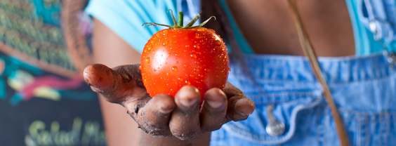 After the hot, languid days of summer, September’s slide into cooler temperatures makes days at the market like today even more perfect! The #bethlehemfarmersmarket is open from 10am-2pm at Farrington Square!
