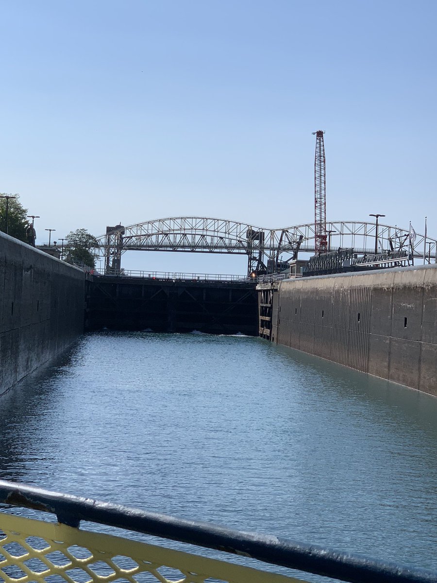 Joyce Draganchuk tweet media