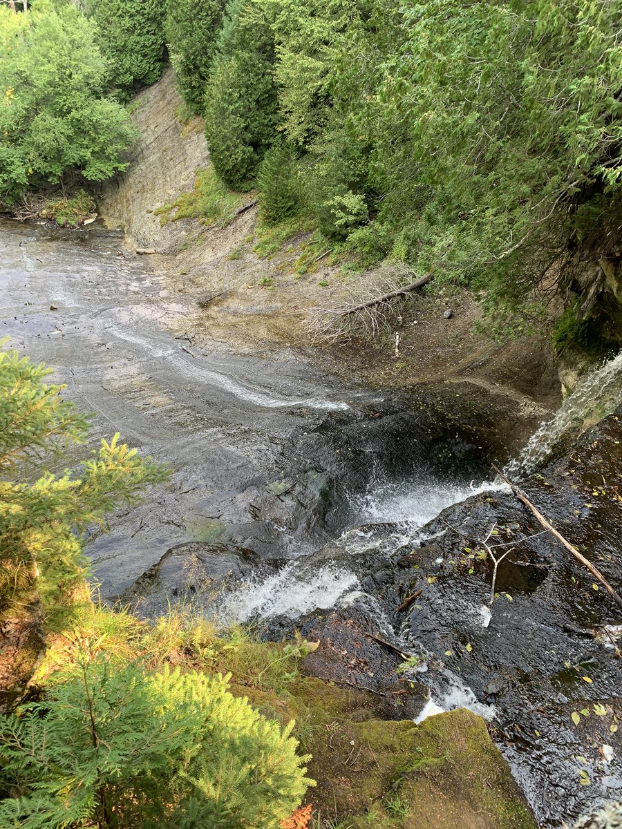 Joyce Draganchuk tweet media