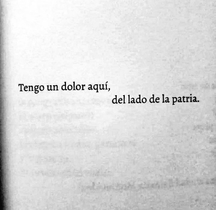 Noelia Contreras 🦋🐻 tweet media