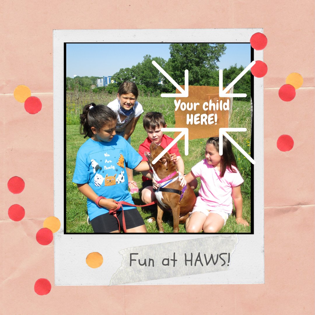 KHAWS is our club for 6 to 12- year-olds. They'll learn about animal safety, pet care and hang out with shelter animals. The fun and activities are at HAWS two Fridays per month, per semester. The first session of the semester is this Friday, sign up now! bit.ly/3qzU3wn