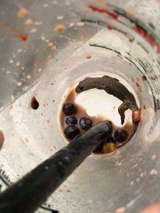 Milk-tea-ki 