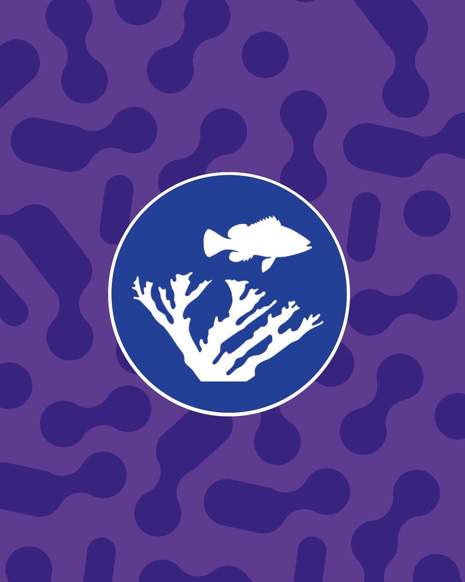 NemoEco's tweet photo. Welcome to the #GlobalCoralHub @perryinstitute 🪸🌎

Perry Institute for Marine Science (PIMS) is an incredible organization leading ocean research, conservation, and education in 14 islands across The Bahamas and Caribbean. https://t.co/9hqxqgj8na