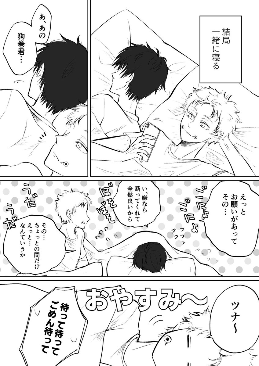 これはこれで結局眠れない(棘乙) 