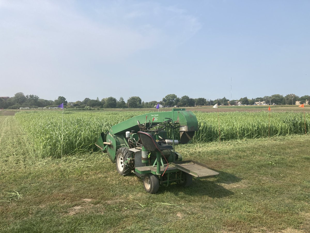bealsburg's tweet photo. Last #legacynet harvest. We done. https://t.co/aYhO3pED8F