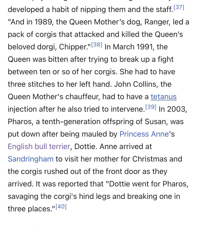 Hannah Rose Woods tweet media