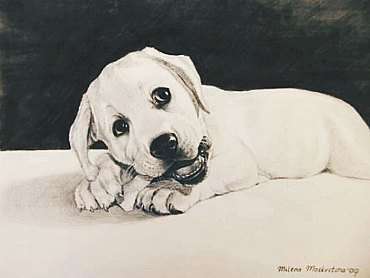 Milena7_'s tweet photo. Featured Art of the Day: "White puppy". View at: https://t.co/eurAquE9qU https://t.co/eIRtmRq9DO