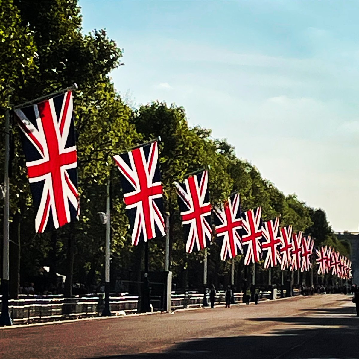 LisaSCx's tweet image. 👑💕