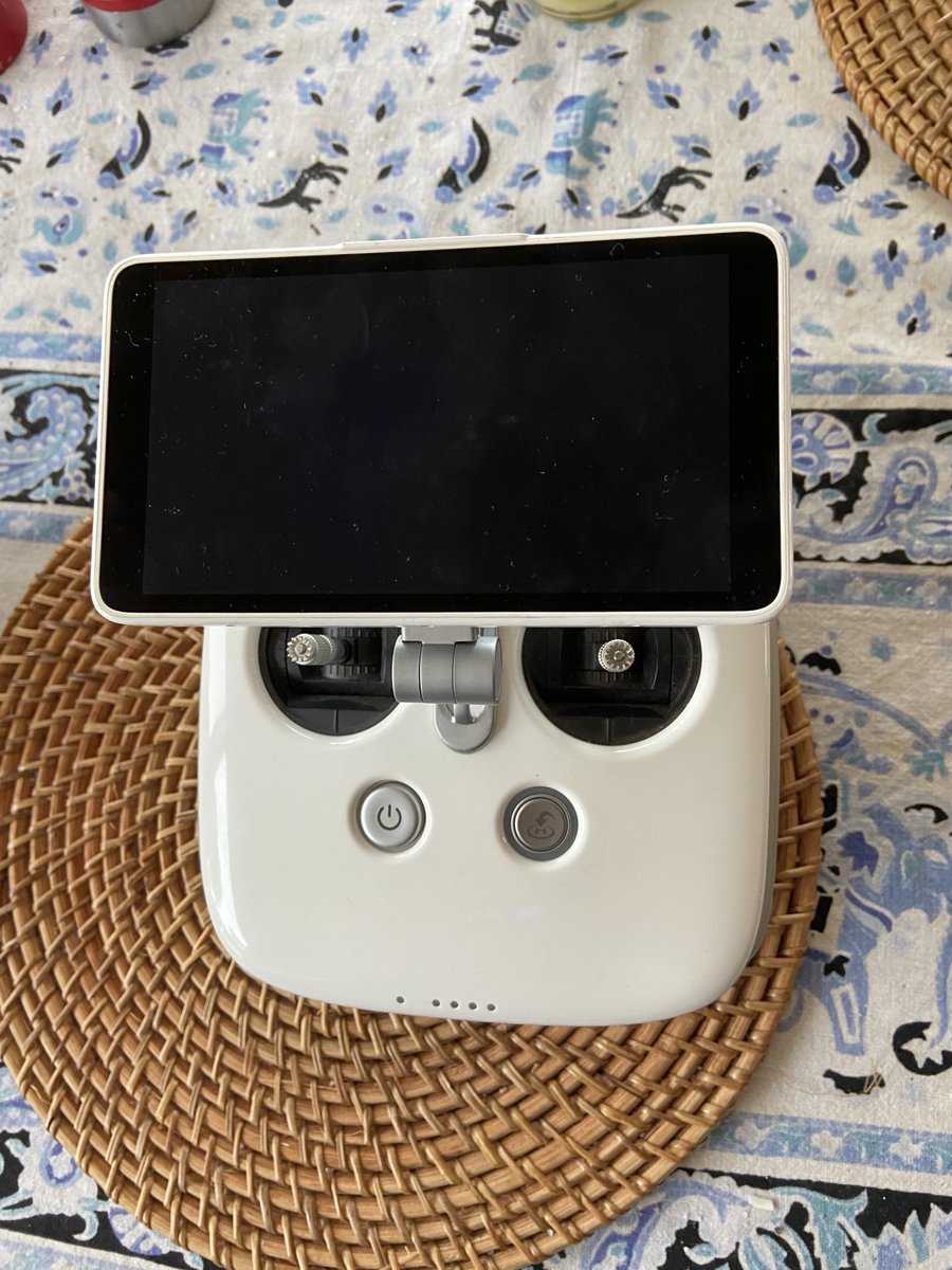 Gabrielle Chan tweet media