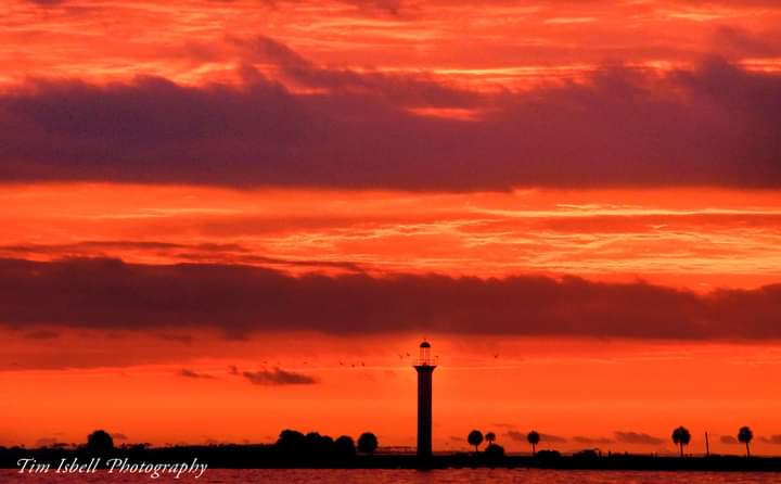 Tim Isbell tweet media