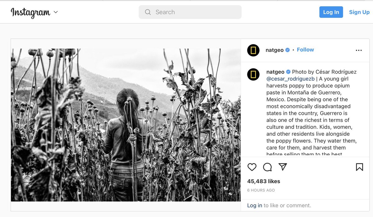 AlphaTrilogy (@alphatrilogy) on Twitter photo This is cool. A 1/1 photo I collected by @Cesarmx_eth featured on <a href="/NatGeo/">National Geographic</a> IG
instagram.com/p/CifjkVUuhXa/…
Congrats @Cesarmx_eth This is cool. A 1/1 photo I collected by @Cesarmx_eth featured on <a href="/NatGeo/">National Geographic</a> IG
instagram.com/p/CifjkVUuhXa/…
Congrats @Cesarmx_eth