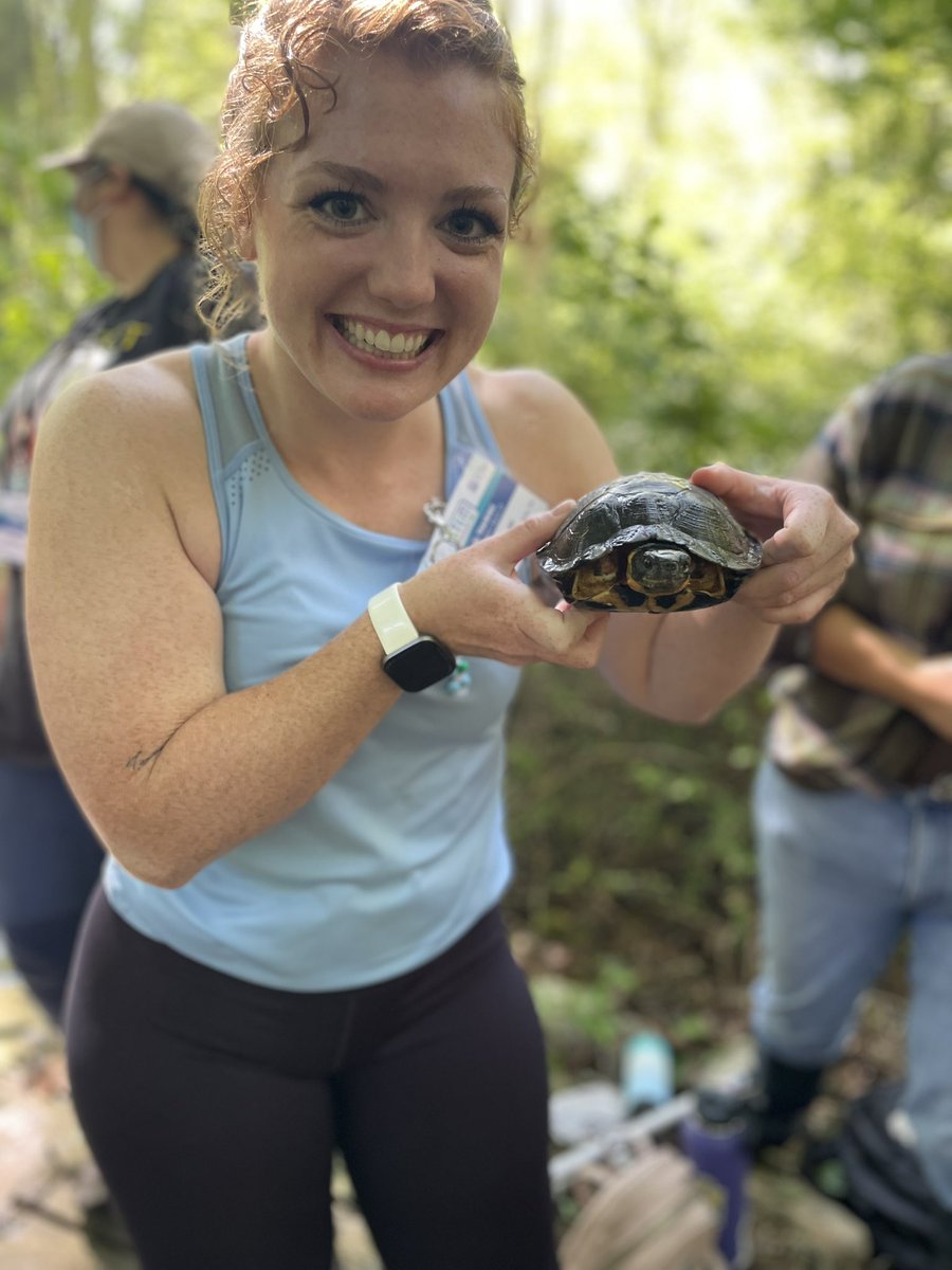 DesireeBauer_'s tweet photo. few pics of the GREAT time I’ve had at the @mysticaquarium for a #STEMmentoring conference that had me exploring & creating & truly defies the typical ‘conference’ title 👩🔬🐢🥾 https://t.co/5CsXhLhUlM