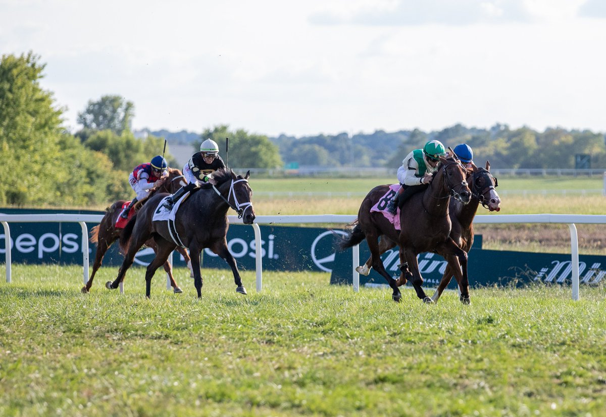 Kentucky Downs tweet media
