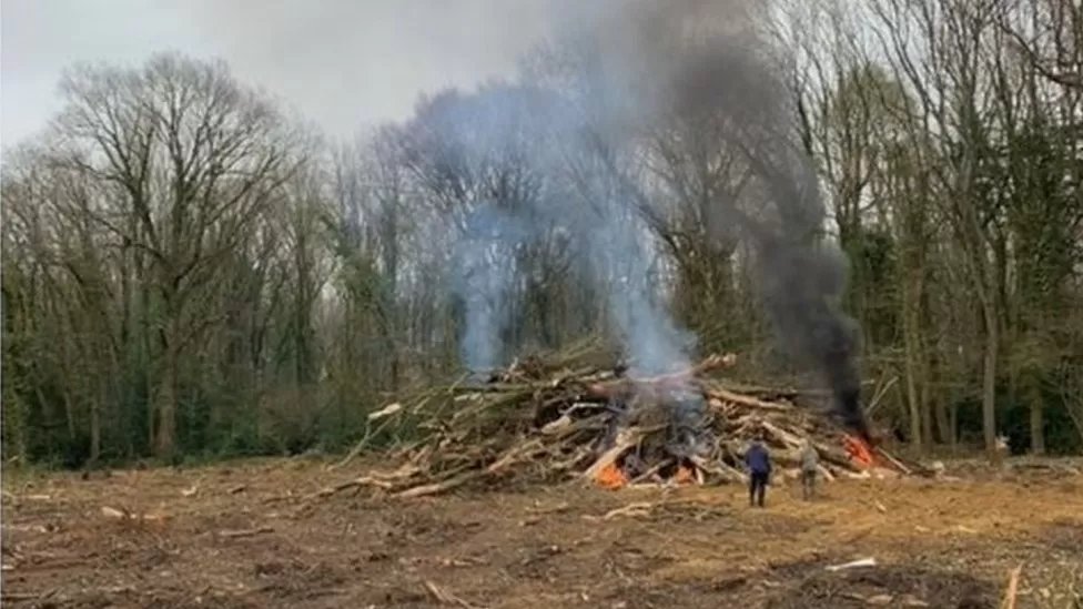 Horton Heath woods: James Barney fined £50,000 for felling trees 🌳
#bbc #uk #news #trees 

bbc.com/news/uk-englan…🌳