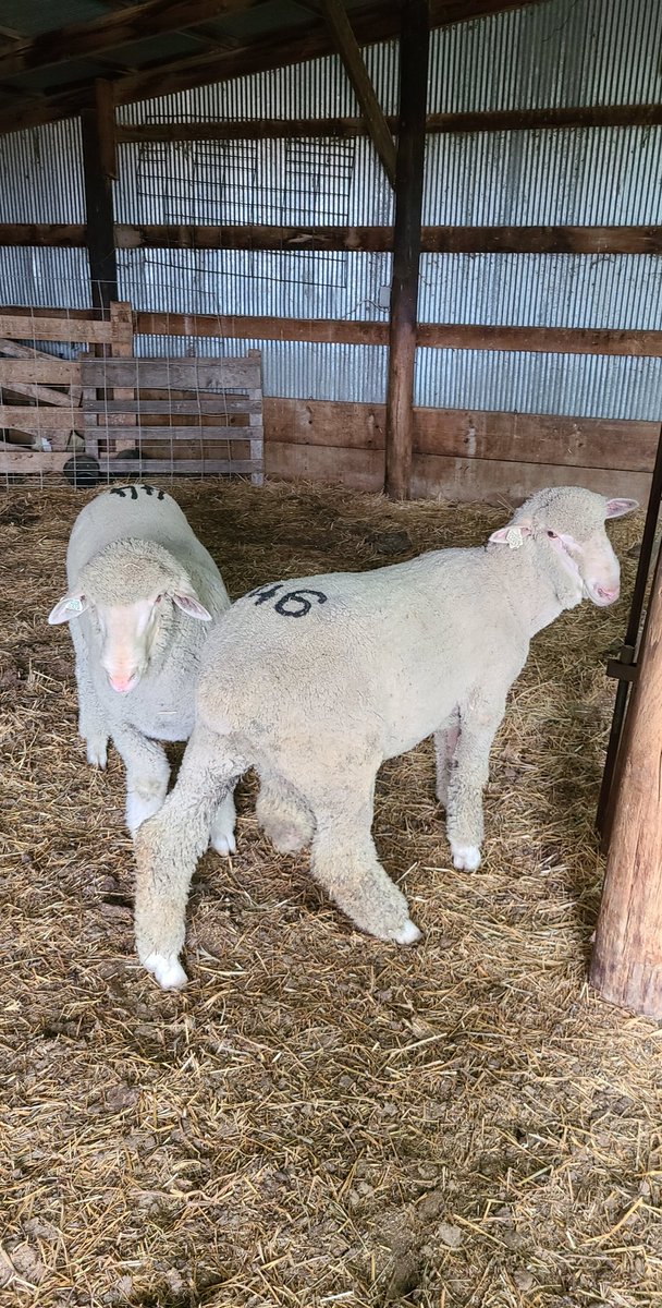 Leif Bakken tweet media