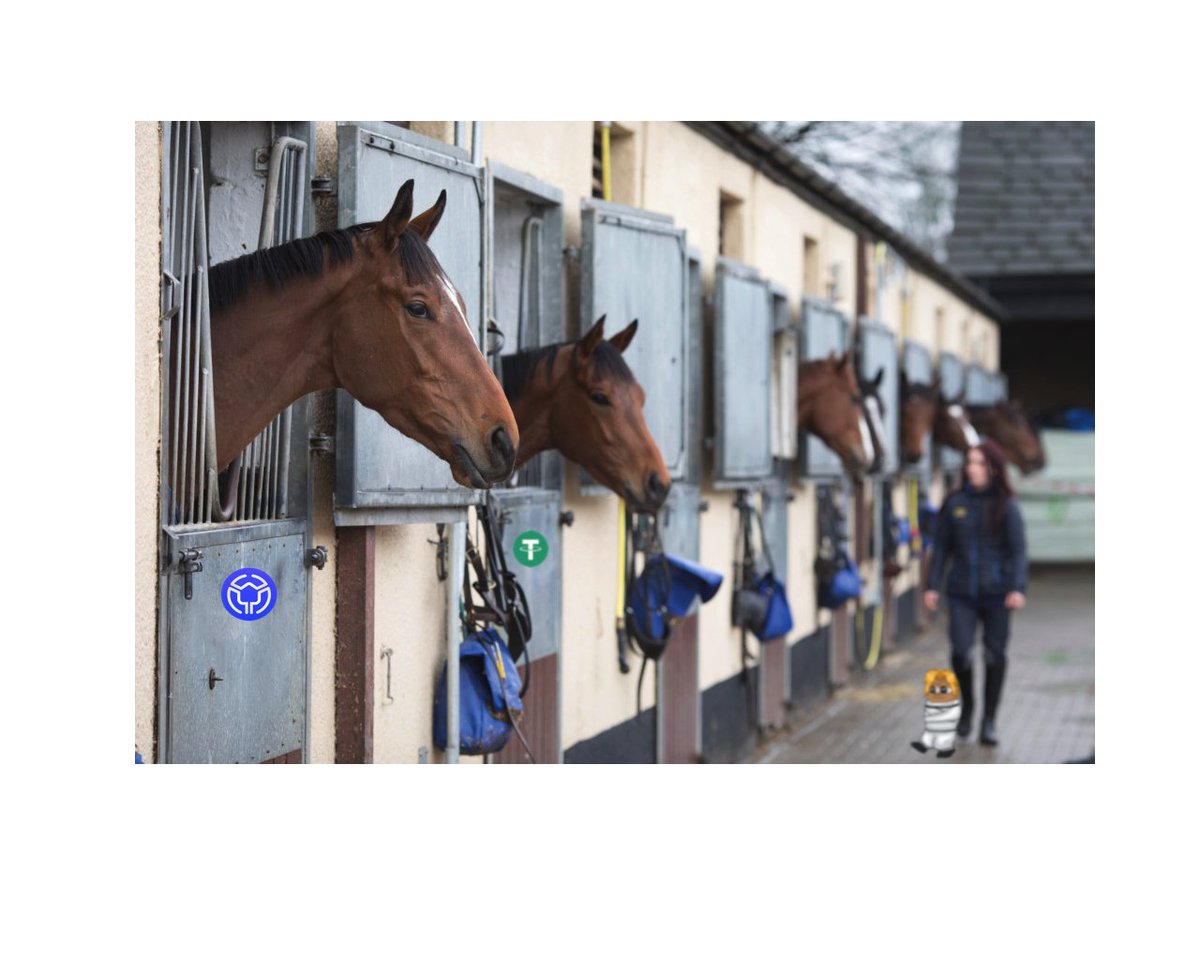We takes a walk around the stables today. We like a horse right now its nice horse seems like a winning horse in the coming weeks. We like this horse. 
#USDR $USDR