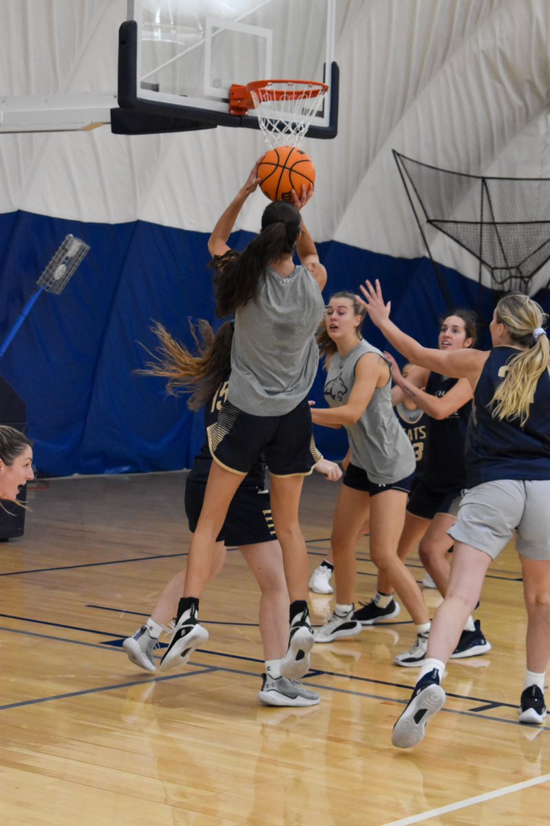 Montana State WBB tweet media