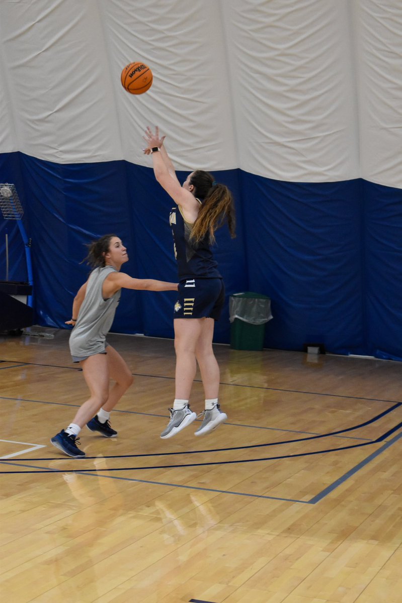 Montana State WBB tweet media