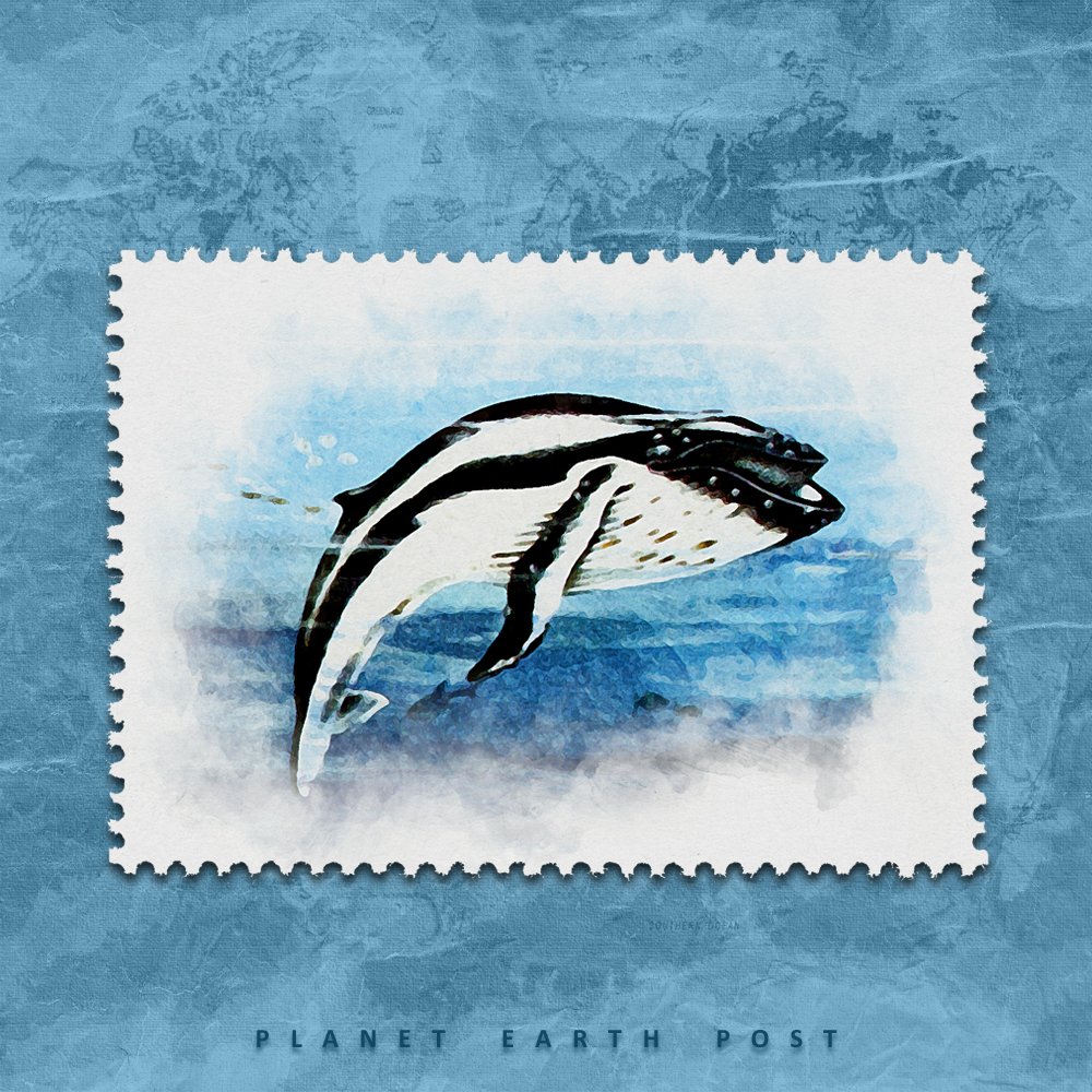postman_alien's tweet photo. New #NFT, from the mini-series "Cetacea"🐳
https://t.co/nuTmjunKkw
#nftpep  #nftcollector #nftcommunity #nftcollectors  #postagestamp #alienpostman #planetearthpost #pep #pEp https://t.co/mSikxvd4BJ