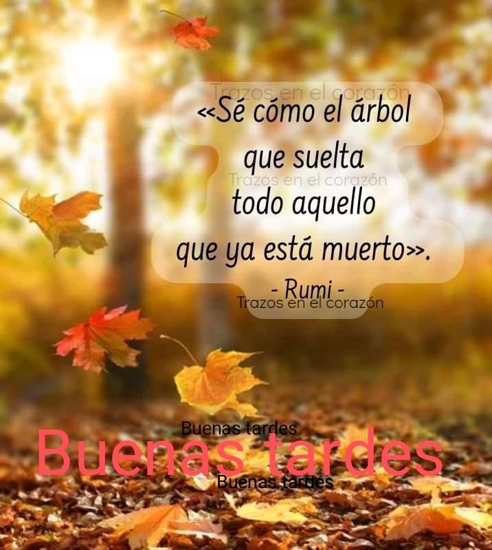 @Neidys_Mari No permitas que nada negativo se quede en tu vida, sácalo por completo y dedícate a crecer, por mucho que duela y aunque sientas que no puedes sabes que será lo mejor para ti, deja atrás lo que en un futuro te puede herir, hazle caso a tu intuición.🌿🌹🌻🌹🌿.