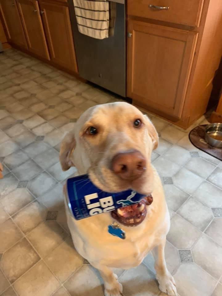 TrentALake's tweet photo. @budlight He will put it right in my hand.😬🍺 https://t.co/vkH7dQg4AU