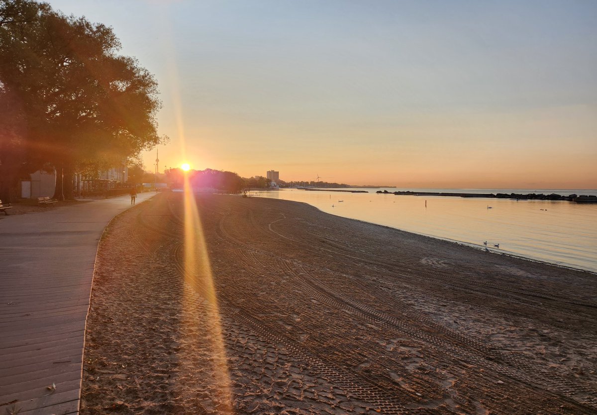 EdRubinstein's tweet image. Started the day with a #run along #LakeOntario and through #HighPark. Good morning #Toronto!