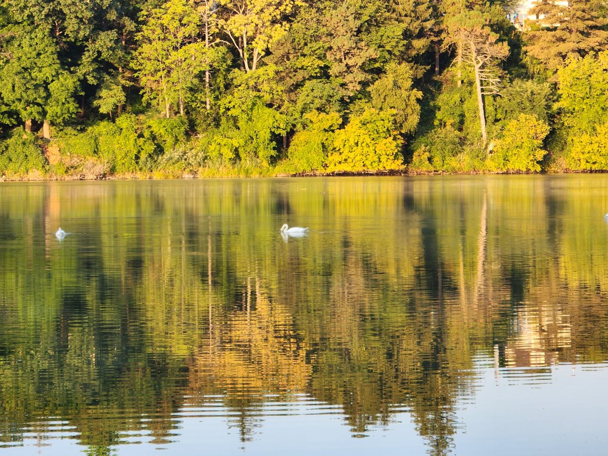 EdRubinstein's tweet image. Started the day with a #run along #LakeOntario and through #HighPark. Good morning #Toronto!