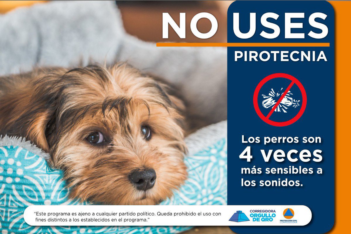 En estas #FiestasPatrias 🇲🇽 celebremos con responsabilidad, evita el uso de artefactos pirotécnicos, puede tener consecuencias fatales, además nuestras mascotas 🐕 perciben el sonido con 4 veces más intensidad que nosotros, cuida también de ellos. 

#MesPatrio #Prevencion