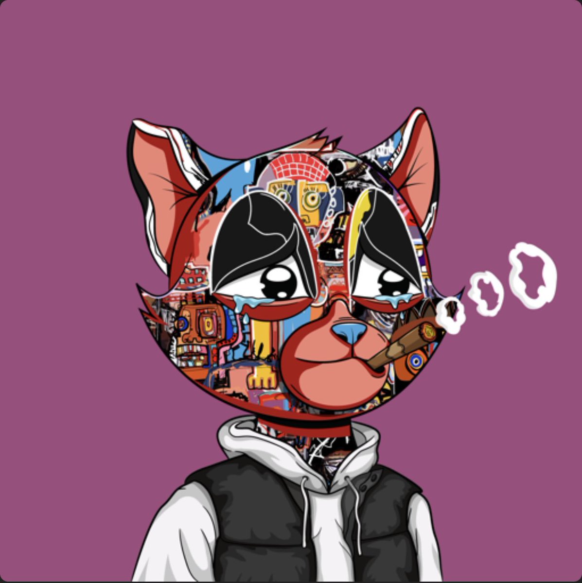 S1xStr1ng08's tweet photo. @BVDCAT_ Had to scoop up that @GORECATS hoodie and minted one with the fur of a favorite artist of mine, Jean-Michel Basquiat. LFG!!! #NFTs #NFTCommunity https://t.co/1NVTpTkVUQ