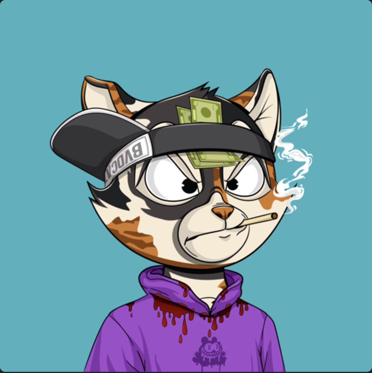 S1xStr1ng08's tweet photo. @BVDCAT_ Had to scoop up that @GORECATS hoodie and minted one with the fur of a favorite artist of mine, Jean-Michel Basquiat. LFG!!! #NFTs #NFTCommunity https://t.co/1NVTpTkVUQ