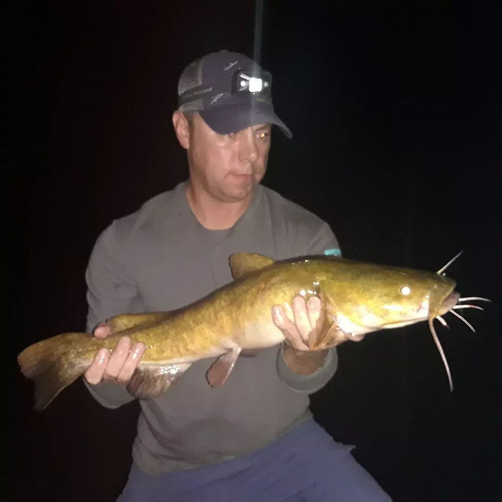 Finally got the #mississippiriver spot by my house dialed in and got my first #flathead since moving back.

#fish #fishing #fishnerd #cajunfishing #catfish #catfishing #nightfishing #riverfishing #flatheadcatfish #mudcat #tabbycat #bigmuddy #mightmississ… instagr.am/p/CigNuLdri3J/