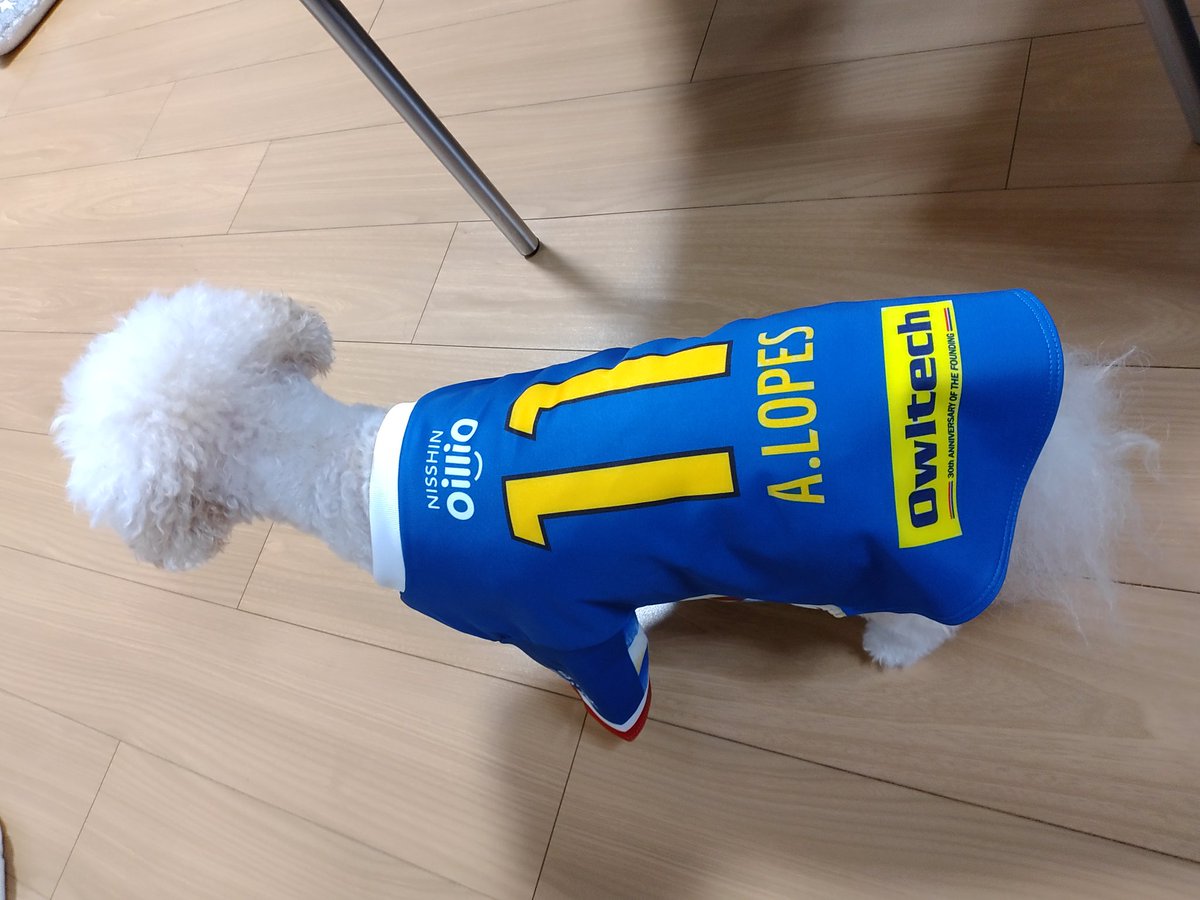 maronchanleo's tweet photo. ロペスお誕生日おめでとうございます🥰
得点いっぱいとってね⚽🥅

Happy birthday🎂✨

#fmarinos
#alopes https://t.co/CMEAKQDM2K